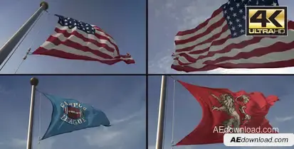 3D Flag Loop Maker Video Displays template preview