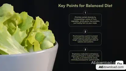 Key Points List Titles Premiere Pro template preview