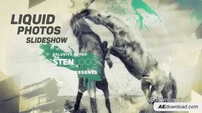 Liquid Photos Slideshow Video Displays template preview