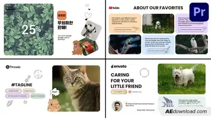 Pet Shop Information Slides for Premiere Pro Premiere Pro template preview