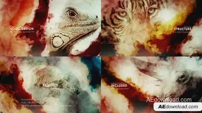 The Detective Title Video Displays template preview