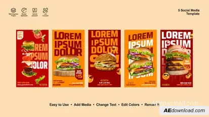 Burger Instagram Stories Product Promo template preview