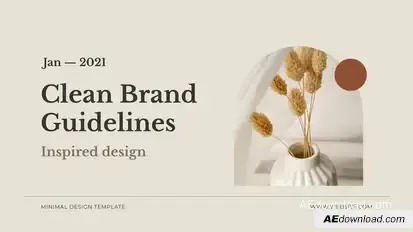 Clean Brand Guidelines Video Displays template preview