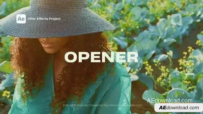 Dynamic Stomp Opener Openers template preview