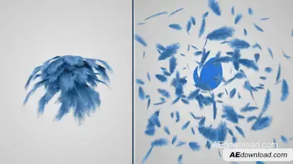 Feathers Logo Reveal Logo Stings template preview
