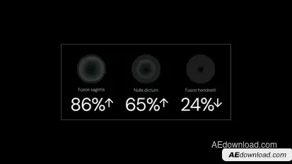 Infographics Infographics template preview