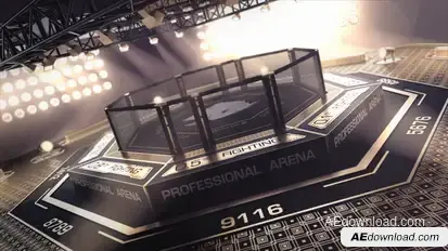 Octagon Logo Logo Stings template preview