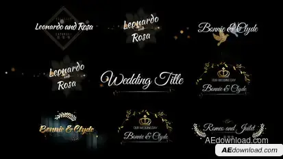 Six Beautiful Wedding Title Titles template preview