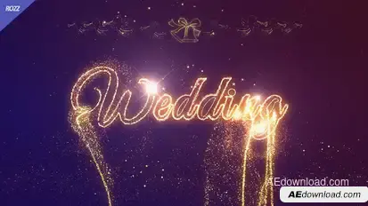Wedding Celebrate Logo Stings template preview
