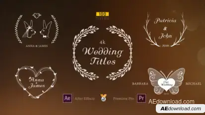 Wedding Titles Titles template preview