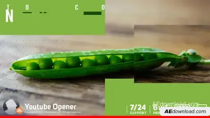 Youtube Opener Video Displays template preview